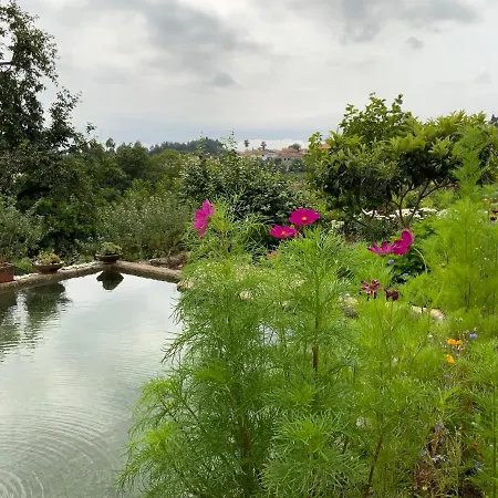 Quinta Do Bravio 巴罗塞拉斯