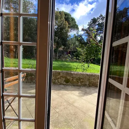Farm stay Quinta Do Bravio *