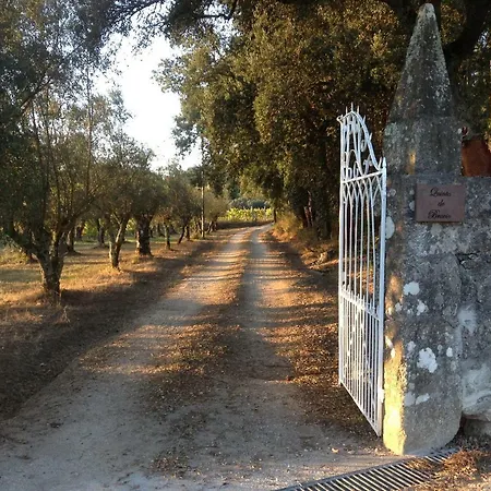 Farm stay Quinta Do Bravio